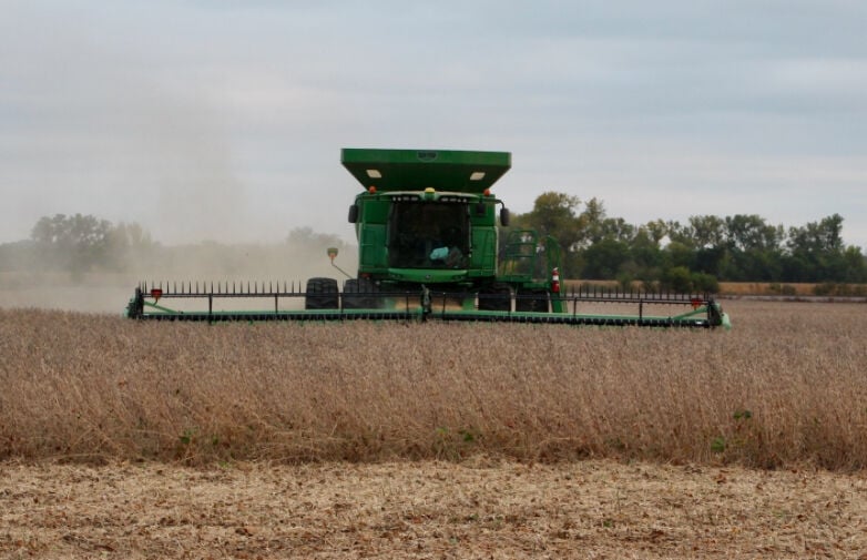 Soybean harvest