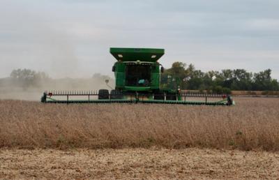 Soybean harvest
