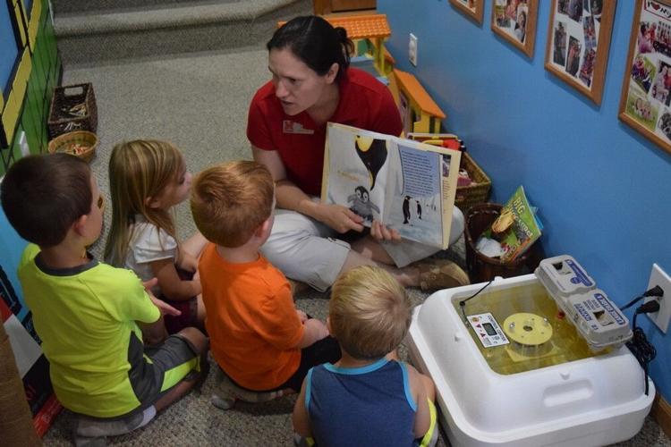 Sarpy County 4-H 1.jpeg