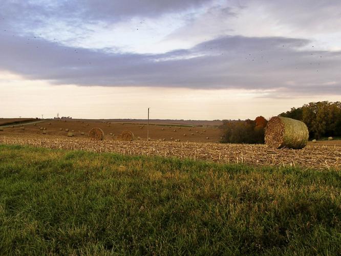 Farm