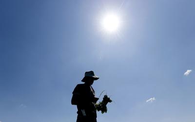 Trump’s farm subsidies: How much is our state getting?