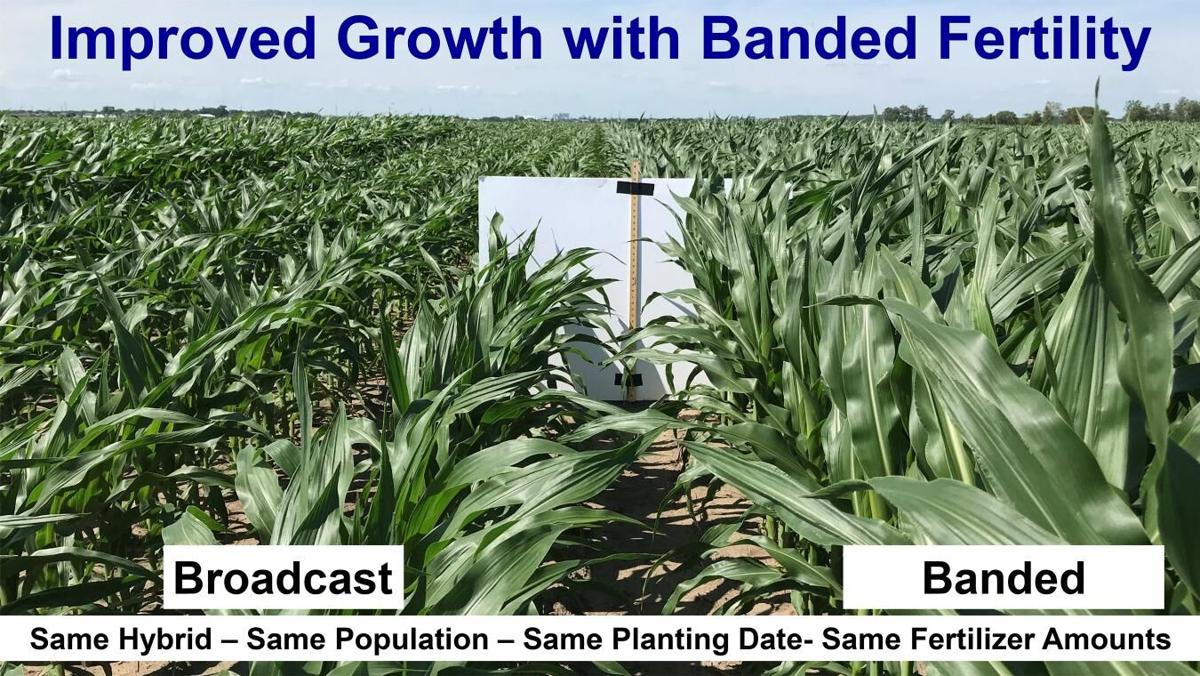Banded fertility