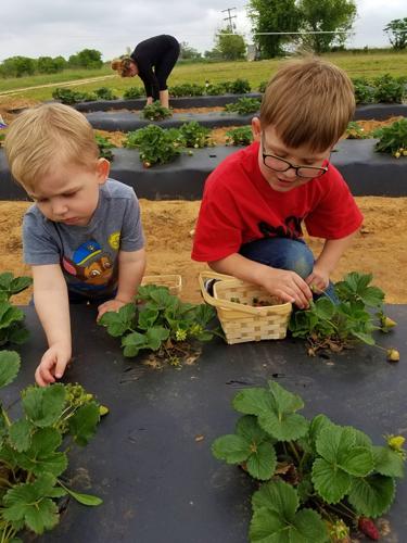 Jake and Zach Wilkins