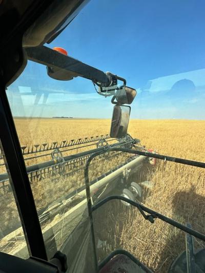 Warm weather creates new demands during Upham-Keane harvest