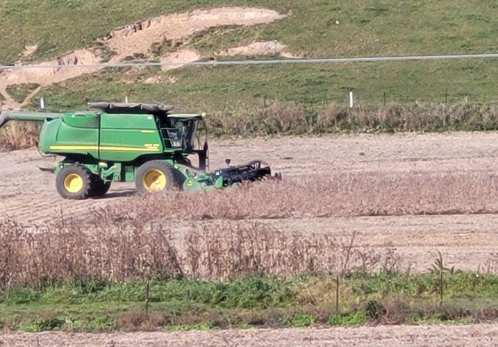 Combine in soybean field