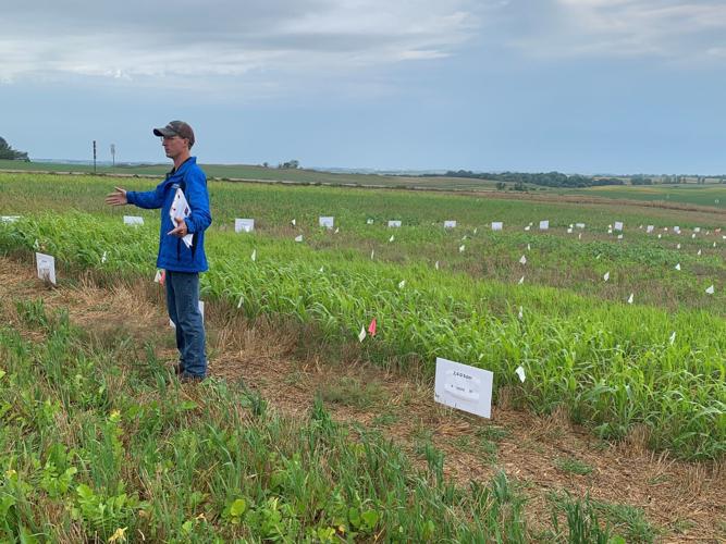 Herbicide-trials1.jpg