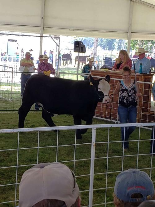 county fair