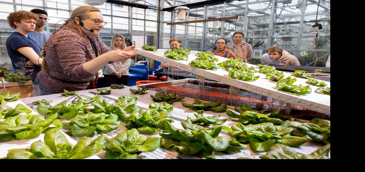 Teacher in plant class