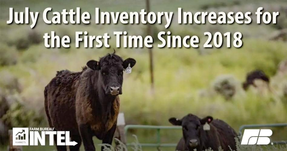 Cattle inventory