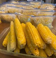 The growing need for ag education