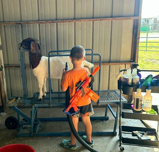 PPR Spickelmier 1.jpg