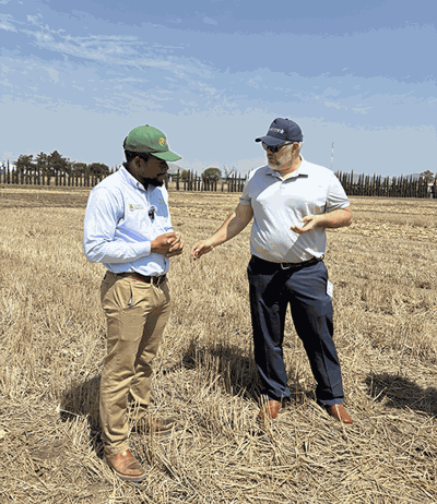 farmers in Mexico field