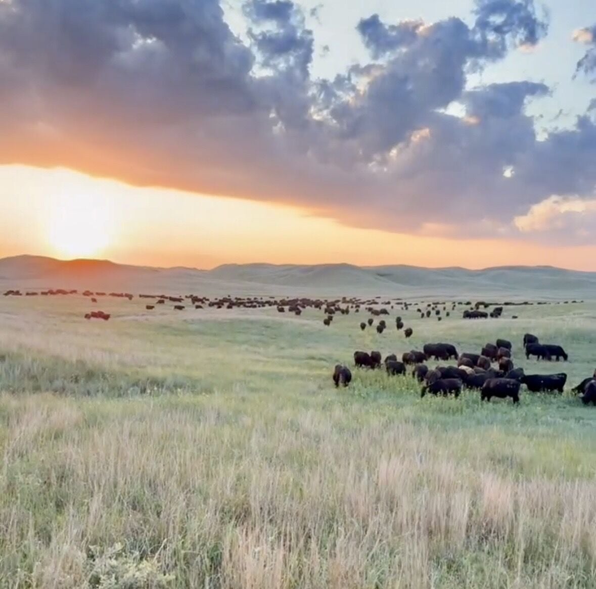 Sandhills Sunrise (4).jpeg