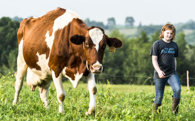 Trent Gretebeck with cow in pasture