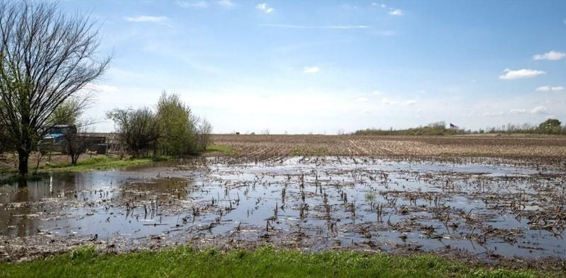 Standing water in field