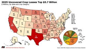 Uncovered losses