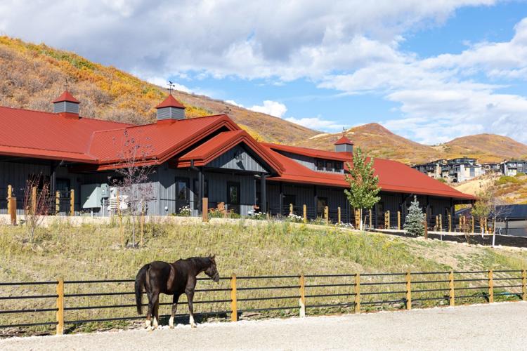 Equestrian facility and stall barn