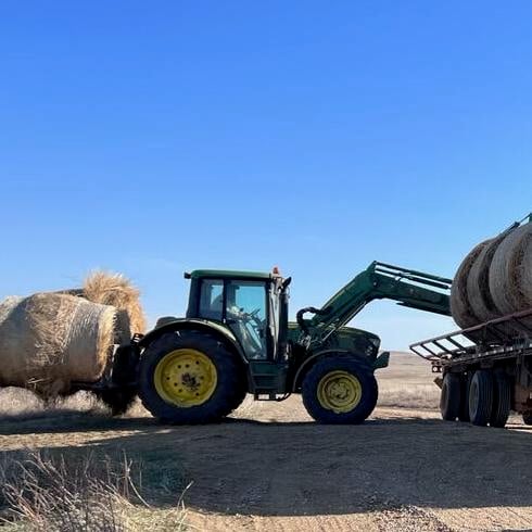Crops thriving on Meyer farm as haying season begins - Vimarsana News