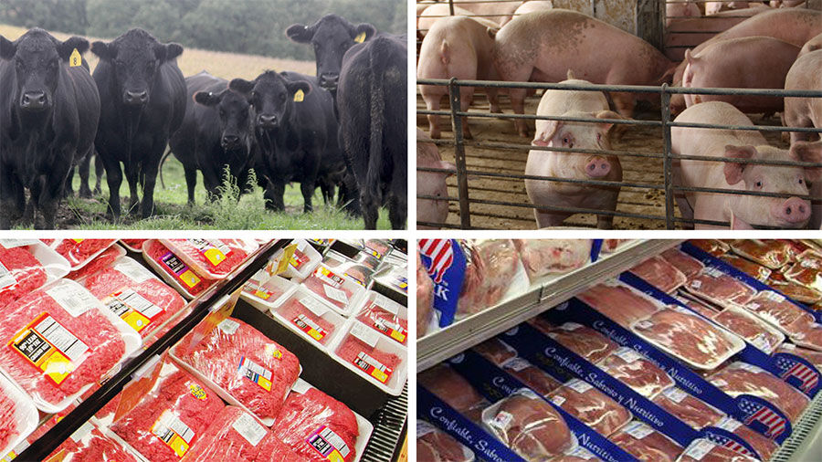 Cattle hogs split with retail meat