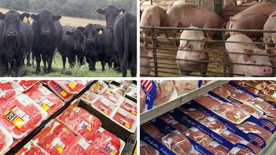 Cattle hogs split with retail meat