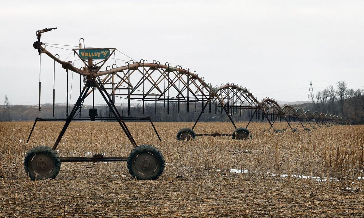 Irrigation