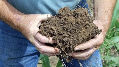 Soil health holding dirt clump