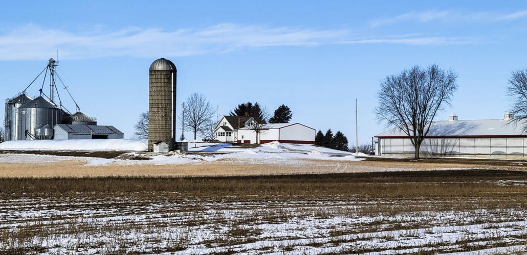 Zwieg Maple Acres landscape