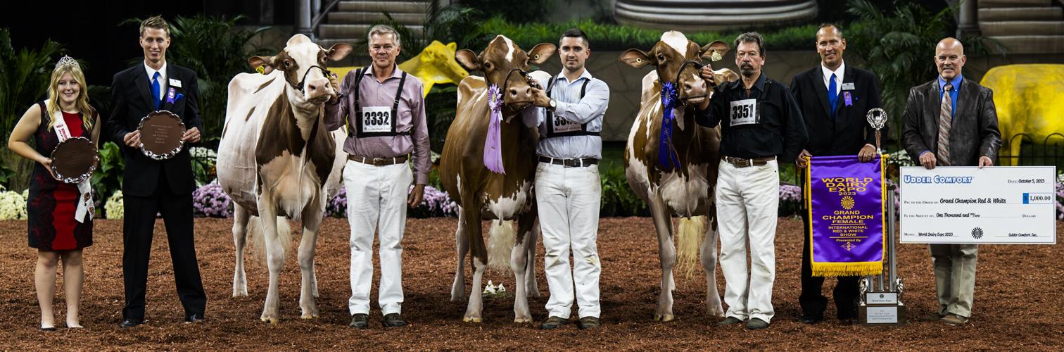 Grand champion and reserve grand champion of 2023 International Red & White Show