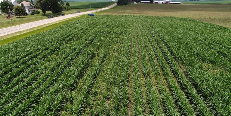 Crop productivity 1.jpg