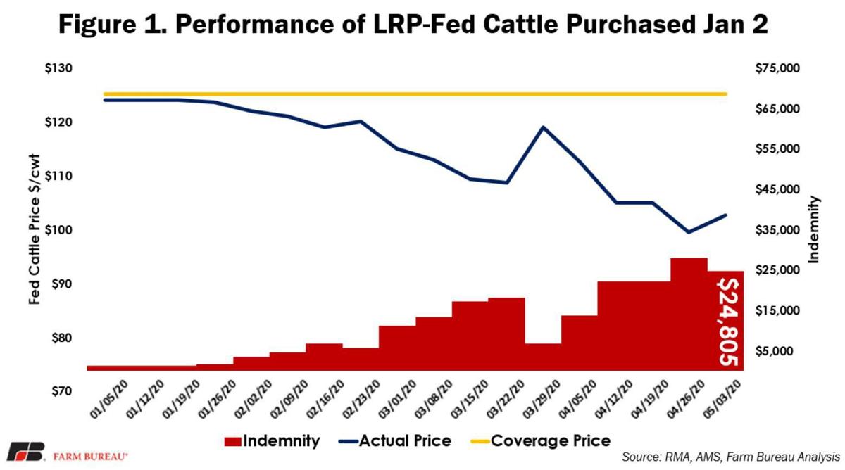 Performance of Livestock Risk Protection