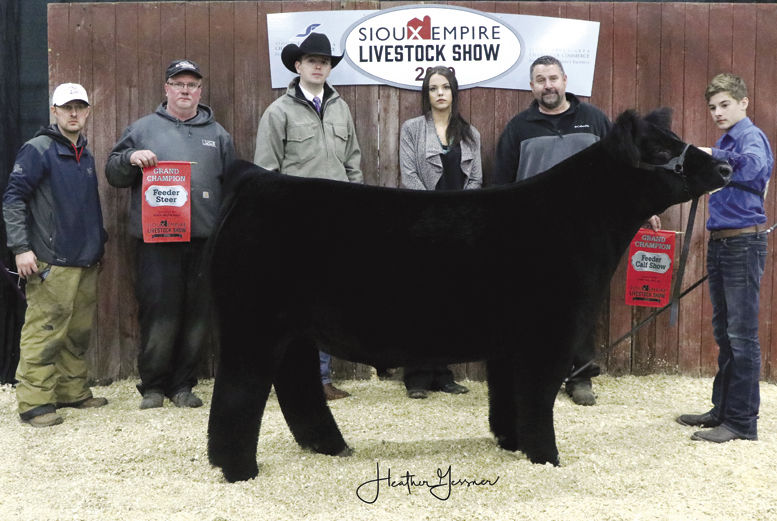 SELS results Ohio exhibitor wins top feeder steer