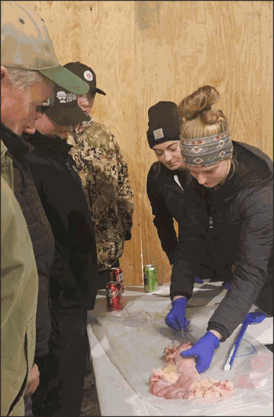 artificial insemination class at Byergo Angus Farms