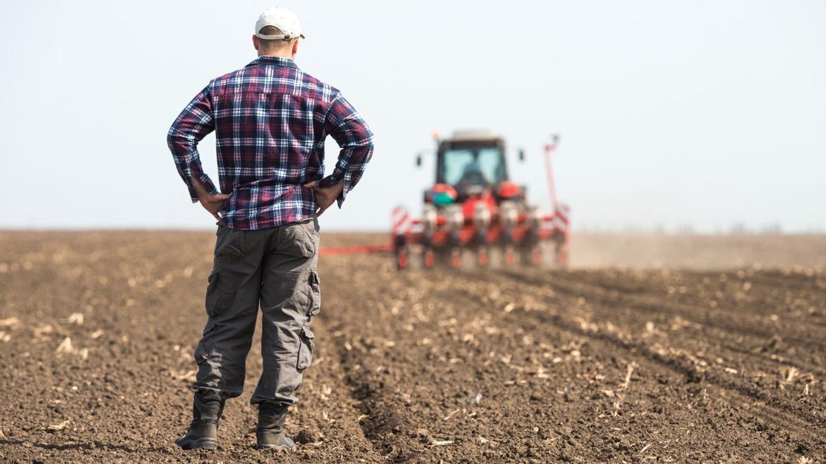 How rising property values distort farm profitability