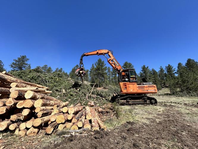 Melisa Column (4).jpg