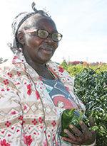 GlobalGreens_Miyonzima Roza