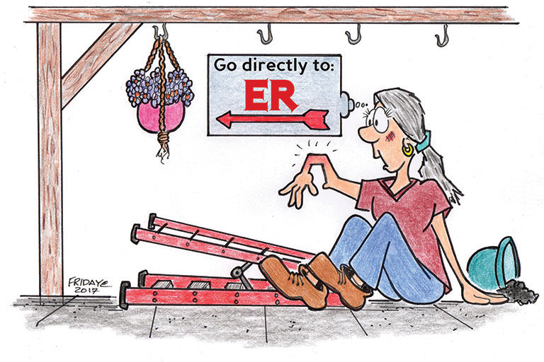 Ladder safety cartoon