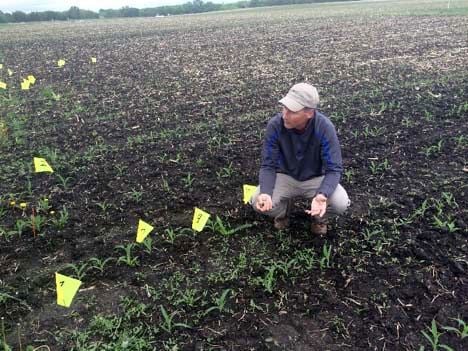 Jeff Laufenberg in the field