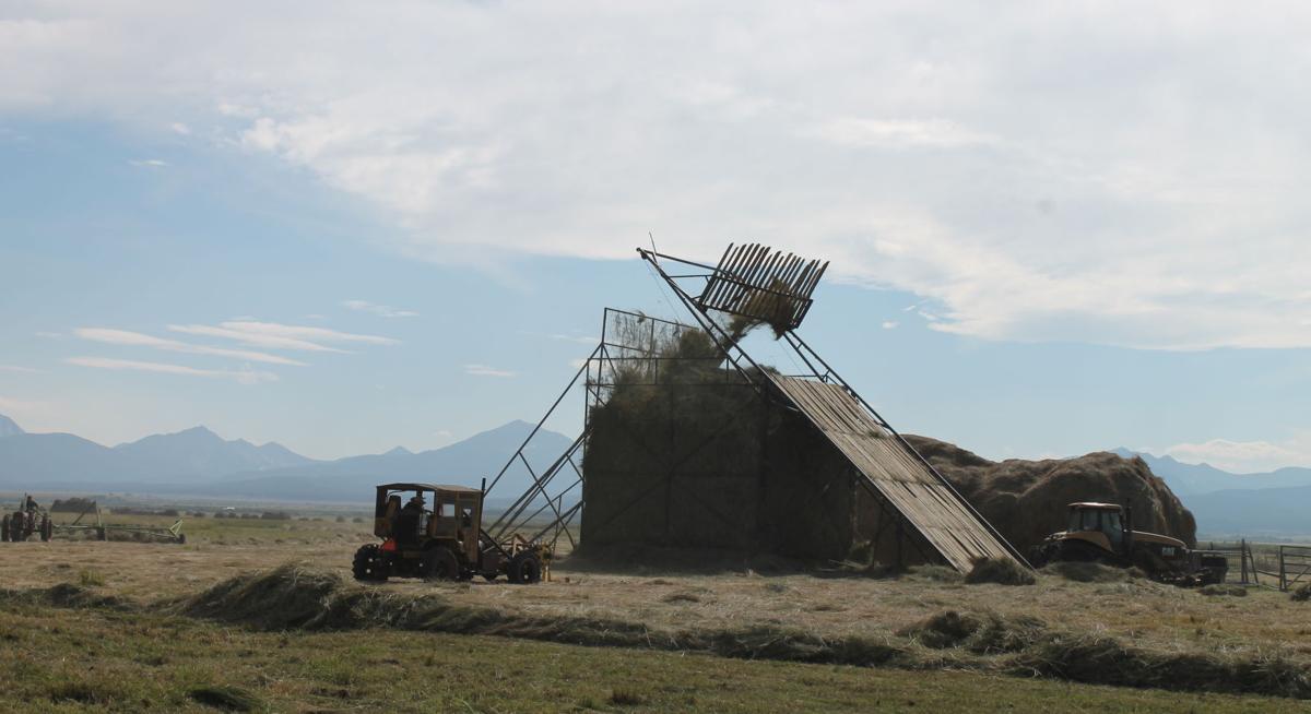 Loose Hay Stack Machine Loose haying, a practical tradition