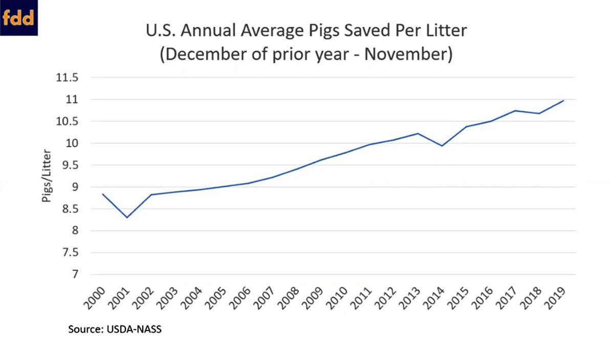 2020 hogs More supply, profitable prices? Livestock