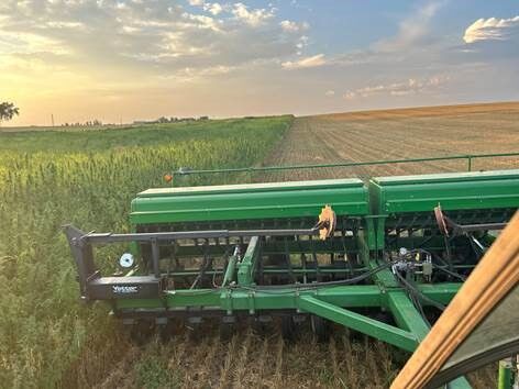 CW burgraff  (1).jpg