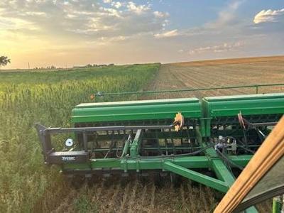 CW burgraff  (1).jpg