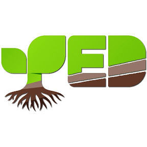 PED Talks logo