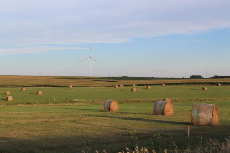 Blue Dasher field day (272).JPG