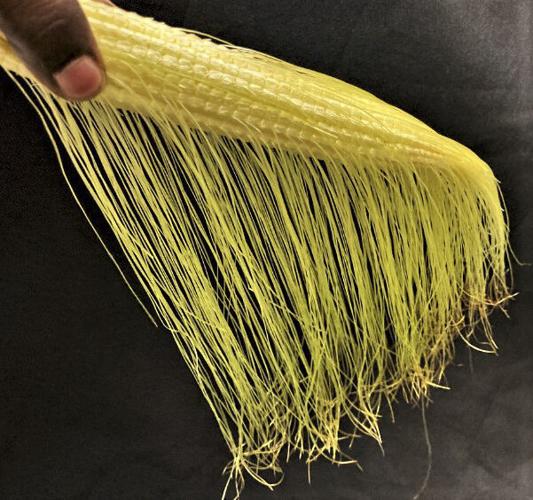 Corn silks