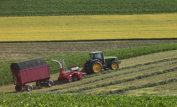 Dane County cropland