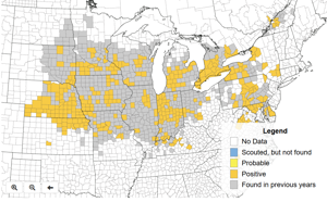 Tar Spot map 2.png