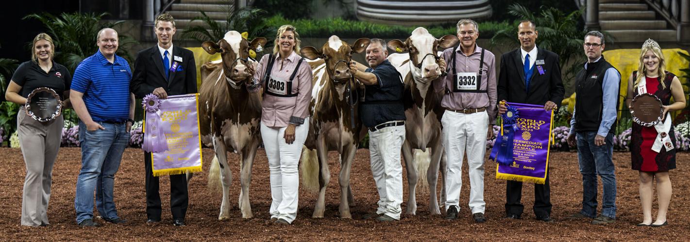 Intermediate champion and reserve intermediate of 2023 International Red & White Show