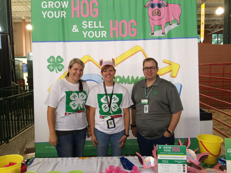 New 4-H projects keep focus on learning by doing