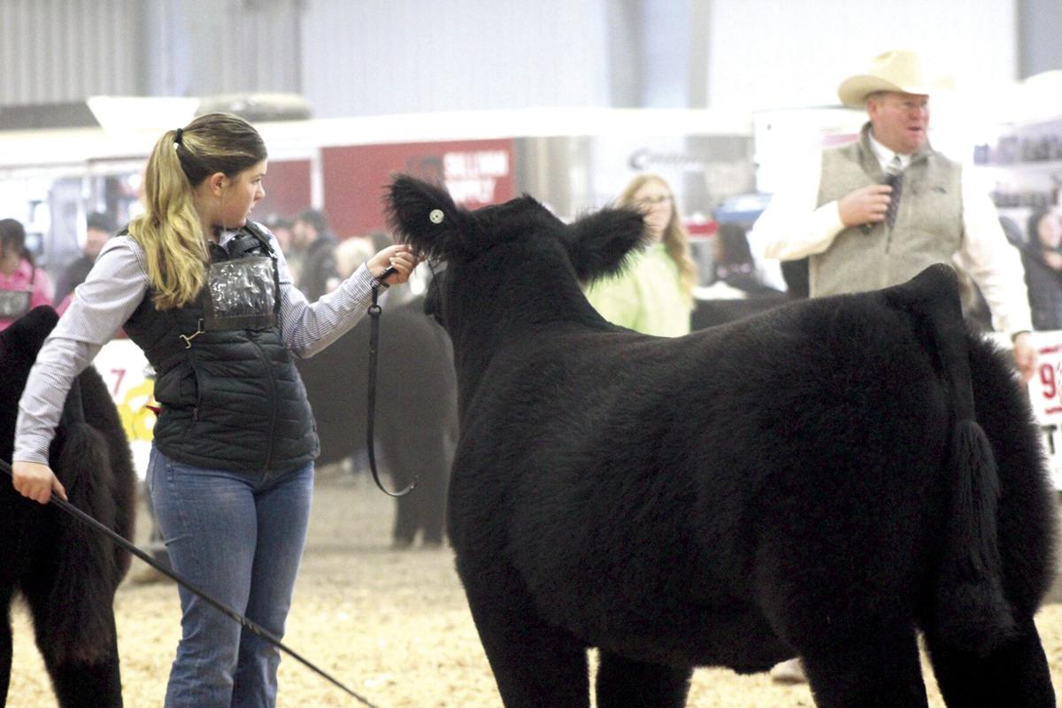 Sioux Empire Livestock Show 2025