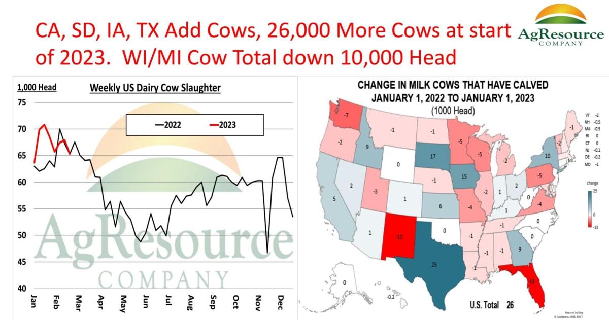 States adding cows at start of 2023